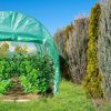 TUNEL FOLIOWY OGRODOWY OGRODNICZY SZKLARNIA 2,5x2m