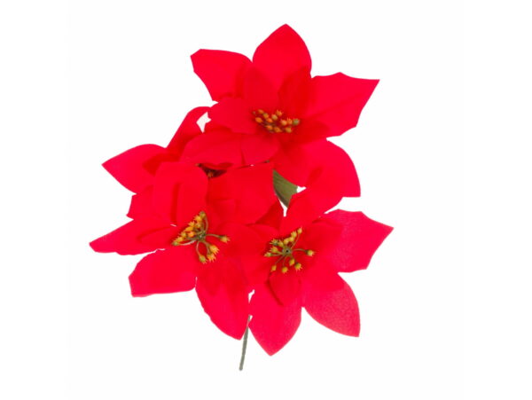 KWIAT GWIAZDA BETLEJEMSKA POINSECJA (wys. 30 cm, kwiat 15 cm)