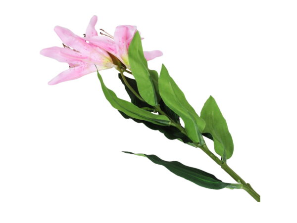 LILIA ŁODYGA 65cm - różowy