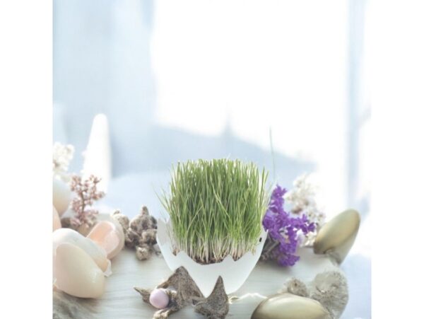 OSŁONKA DONICZKA WIELKANOC SKORUPKA 12CM - biały