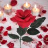 RÓŻA SZTUCZNA WALENTYNKOWA 40CM 10SZT