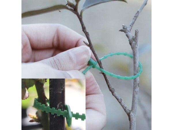 OPASKI DO KWIATÓW REGULOWANE 17,5CM 50SZT