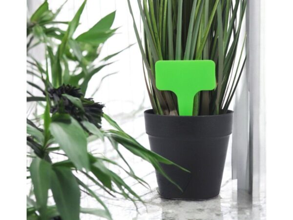 TABLICZKA ETYKIETA DO ROŚLIN 10x6cm 50SZT - zielony