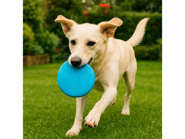 FRISBEE DLA PSA 15CM - niebieski