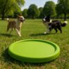 FRISBEE DLA PSA 15CM - zielony