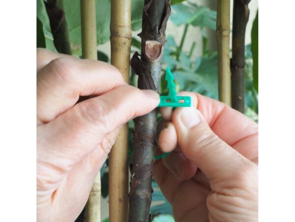 OPASKI DO KWIATÓW REGULOWANE 17CM 100SZT