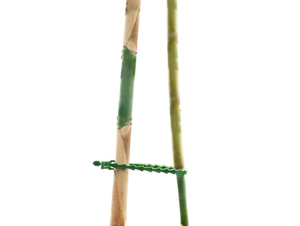 OPASKI DO KWIATÓW REGULOWANE 17CM 100SZT