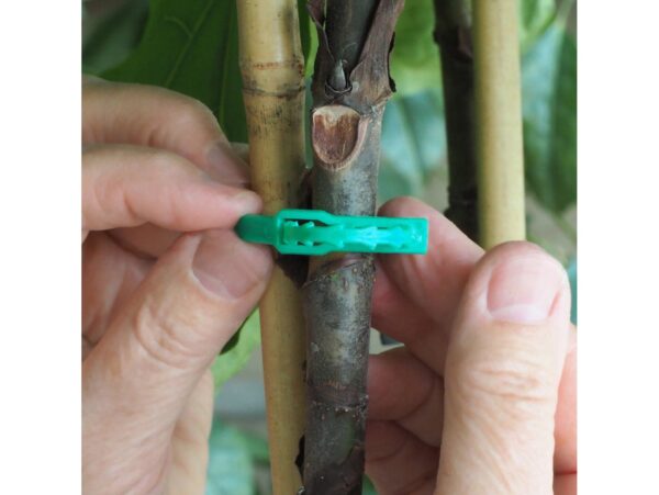 OPASKI DO KWIATÓW REGULOWANE 17CM 100SZT