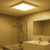 PANEL LAMPA LED PLAFON 29CM 24W - biały/ciepły biały