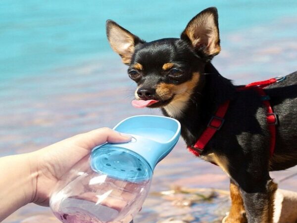 POIDŁO BUTELKA BIDON DLA PSA - niebieski