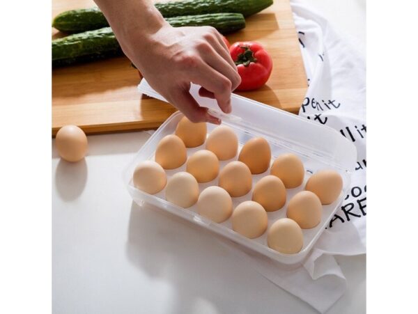 POJEMNIK NA JAJKA 15SZT - bezbarwny