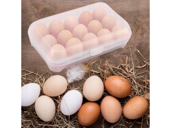 POJEMNIK NA JAJKA 15SZT - bezbarwny