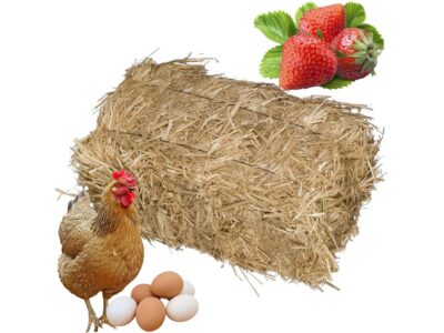 SŁOMA KOSTKA PODŁOŻE 8% / 4kg
