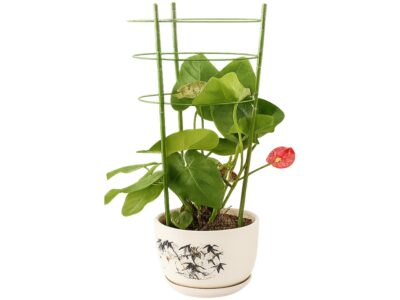 PODPORA PIERŚCIENIOWA ROŚLIN KWIATÓW PODPÓRKA 60cm