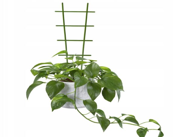 PODPORA PODPÓRKA DO ROŚLIN DRABINKA 60CM