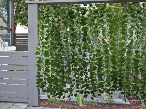 ZESTAW BLUSZCZY SZTUCZNYCH + WISTERIA