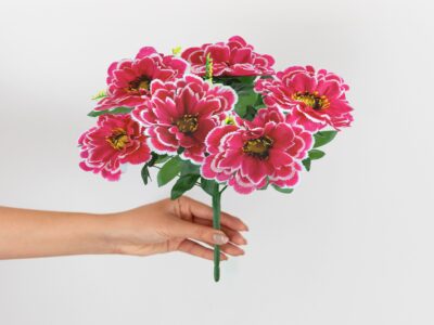 CHRYZANTEMA BUKIET 6 KWIATÓW 55cm - biało-ciemnoróżowy