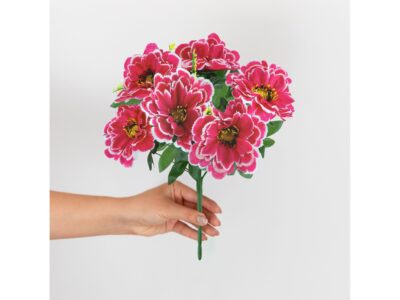 CHRYZANTEMA BUKIET 6 KWIATÓW 55cm - biało-ciemnoróżowy