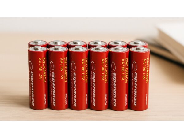 ESPERANZA BATERIE ZN-C AA 10SZT BLISTER