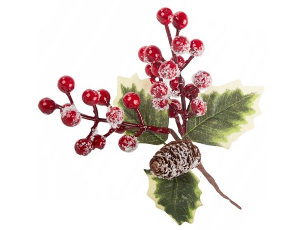 GAŁĄZKA JARZĘBINY ŚWIĘTA