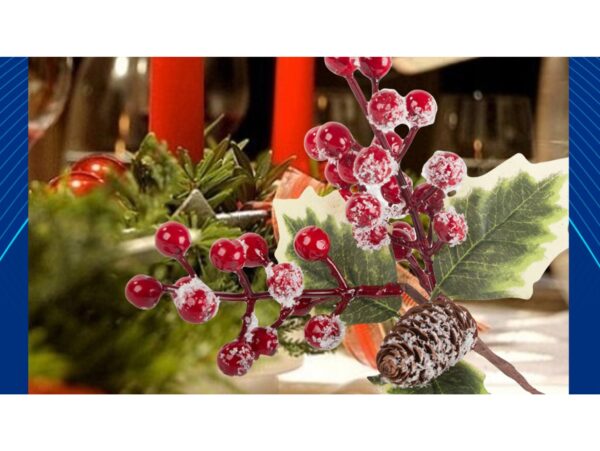 GAŁĄZKA JARZĘBINY ŚWIĘTA