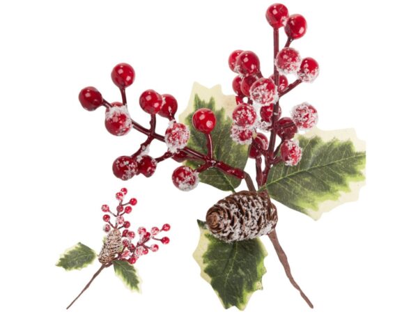 GAŁĄZKA JARZĘBINY ŚWIĘTA