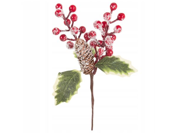 GAŁĄZKA JARZĘBINY ŚWIĘTA