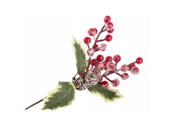 GAŁĄZKA JARZĘBINY ŚWIĘTA