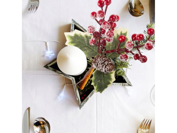 GAŁĄZKA JARZĘBINY ŚWIĘTA