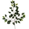 GAŁĄZKA LIŚĆ SZTUCZNY 3-RAMIENNY BENJAMIN 60CM - zielony