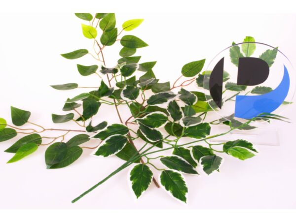 GAŁĄZKA LIŚĆ SZTUCZNY 3-RAMIENNY BENJAMIN 60CM - zielony