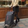 GIMI NEW TWIN WÓZEK NA ZAKUPY/NEW TWIN BLACK GM-169324 8001244025929