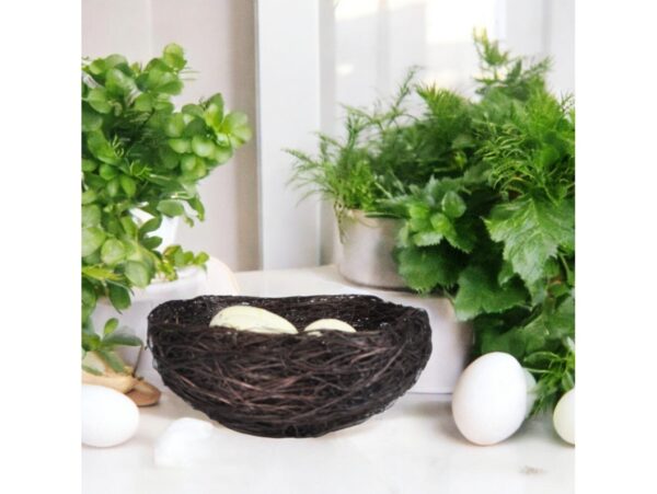 GNIAZDKO WIELKANOCNE Z JAJKAMI 7x3CM 2SZT