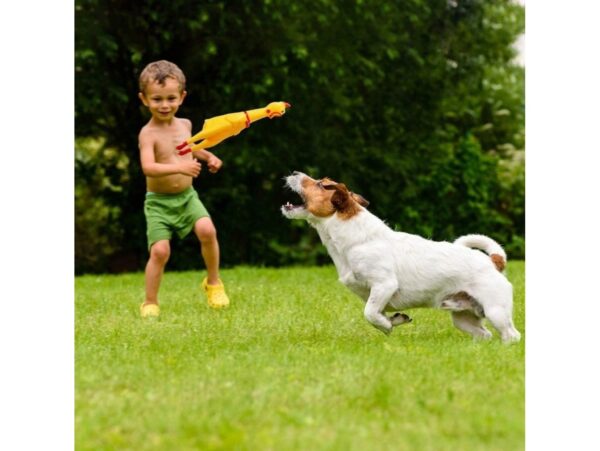 GRYZAK GUMOWY KURCZAK DLA PSA 36CM