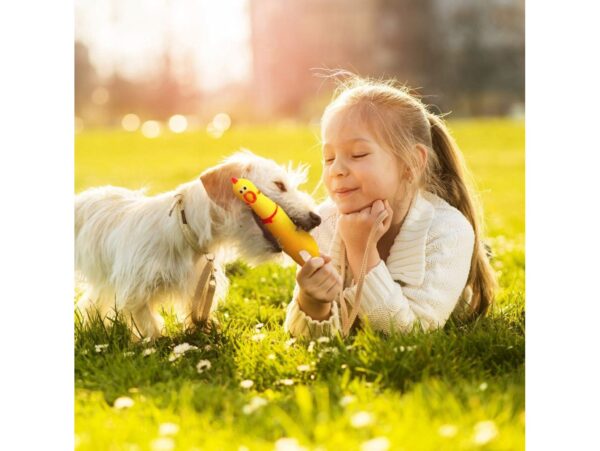 GRYZAK GUMOWY KURCZAK DLA PSA 36CM