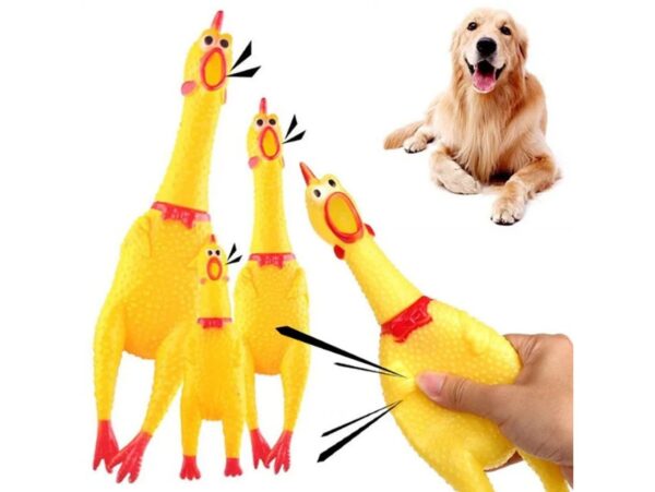 GRYZAK GUMOWY KURCZAK DLA PSA 36CM