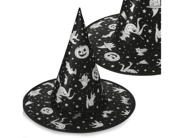 KAPELUSZ CZAROWNICY - srebrne dynie