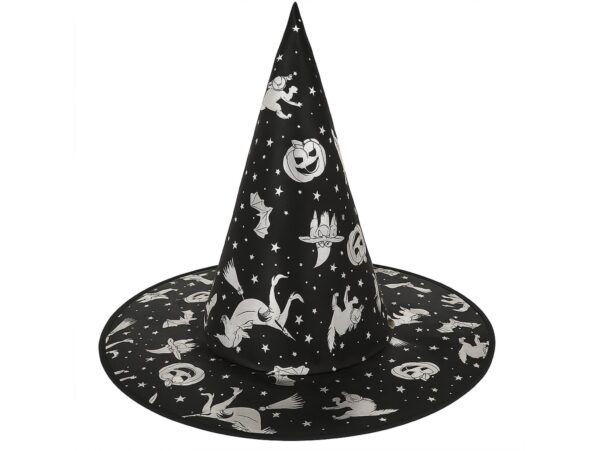 KAPELUSZ CZAROWNICY - srebrne dynie