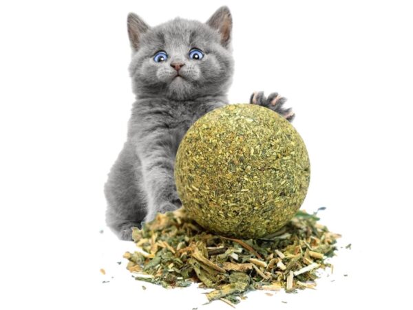 KOCIMIĘTKA PIŁKA DLA KOTA 3CM