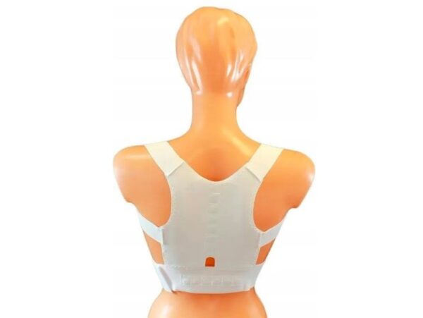 KOREKTOR WAD POSTAWY MAGNETYCZNY PROSTE PLECY