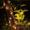 LAMPKI DRUCIKI 50 LED - biały ciepły