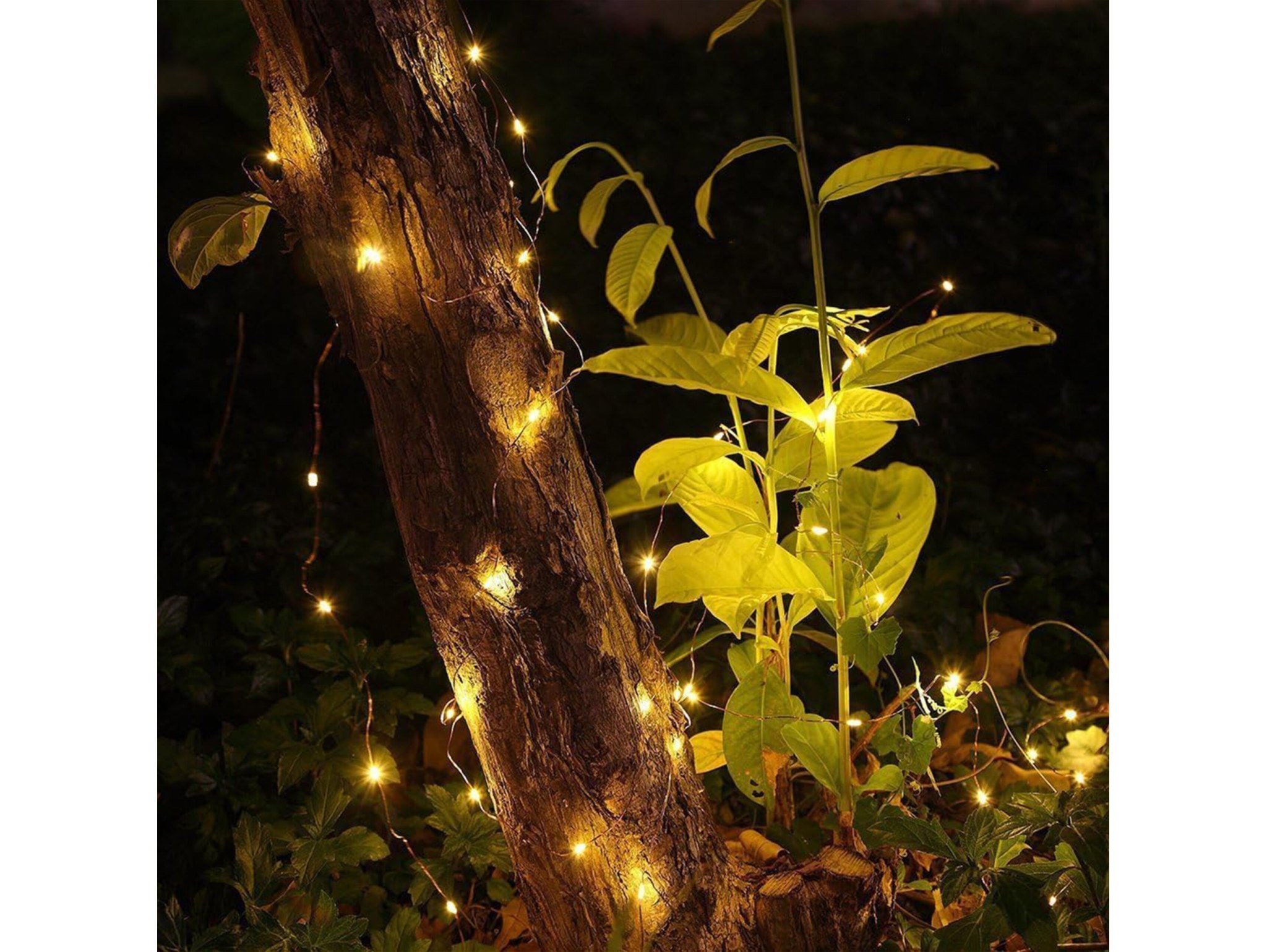 LAMPKI DRUCIKI 50 LED - biały ciepły