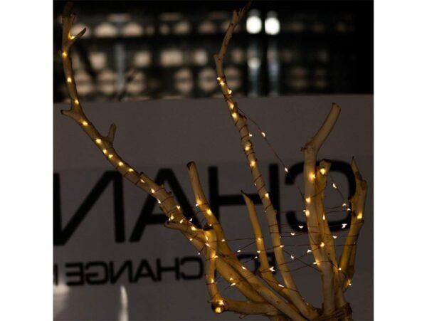 LAMPKI DRUCIKI 50 LED - biały ciepły