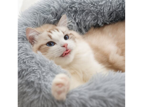 LEGOWISKO DLA PSA KOTA WŁOCHATE 50CM