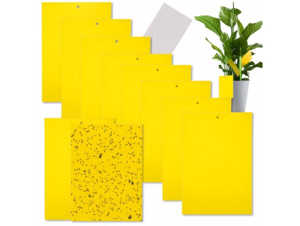 LEP NA OWADY ZIEMIÓRKI 20SZT 20x10cm