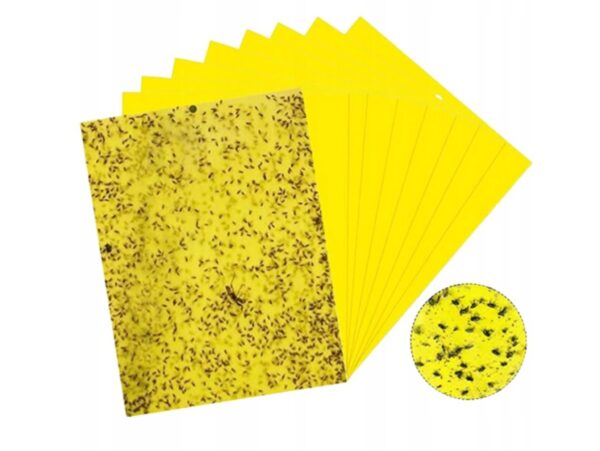 LEP NA OWADY ZIEMIÓRKI 20SZT 20x10cm