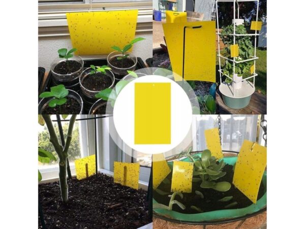 LEP NA OWADY ZIEMIÓRKI 20SZT 20x10cm