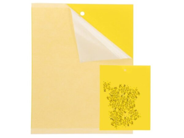 LEP NA OWADY ZIEMIÓRKI 20SZT 20x10cm