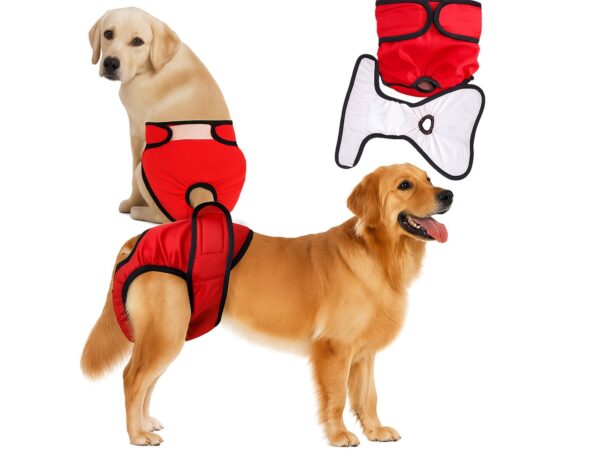 MAJTKI NA CIECZKĘ DLA PSA KOTA PIELUCHOMAJTKI - L