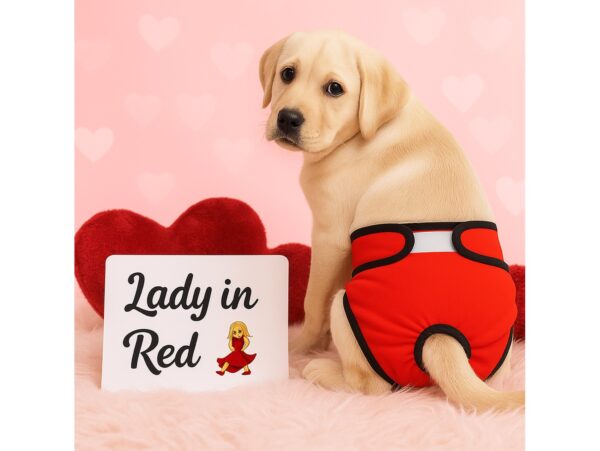 MAJTKI NA CIECZKĘ DLA PSA KOTA PIELUCHOMAJTKI - S